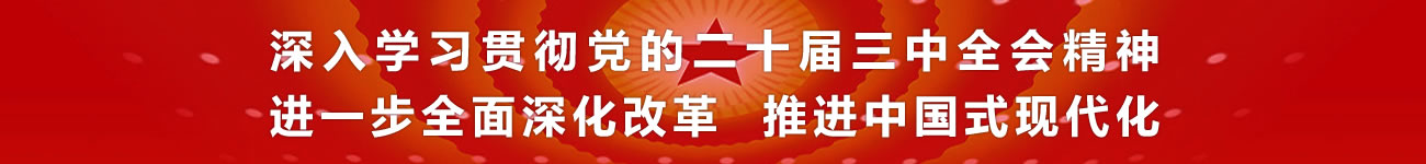 深入学习贯彻党的二十届三中全会精神