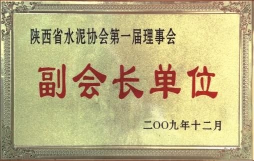 陕西省水泥协会第一届理事会副会长单位